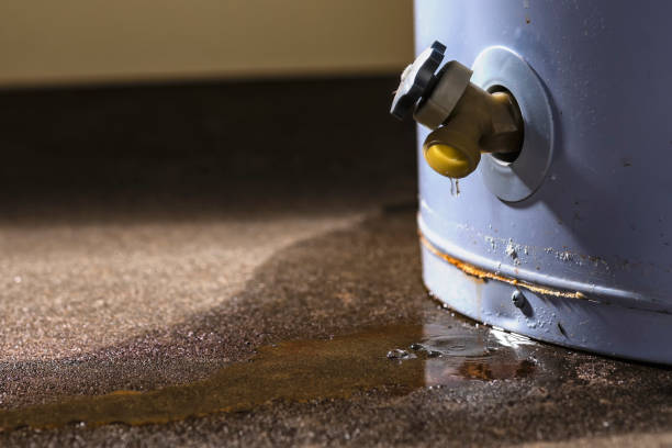 Best Fire Damage Restoration  in Somers, MT