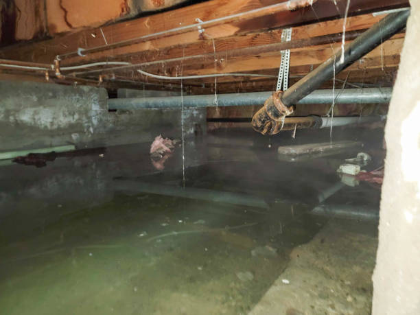 Best Water damage restoration process  in Somers, MT