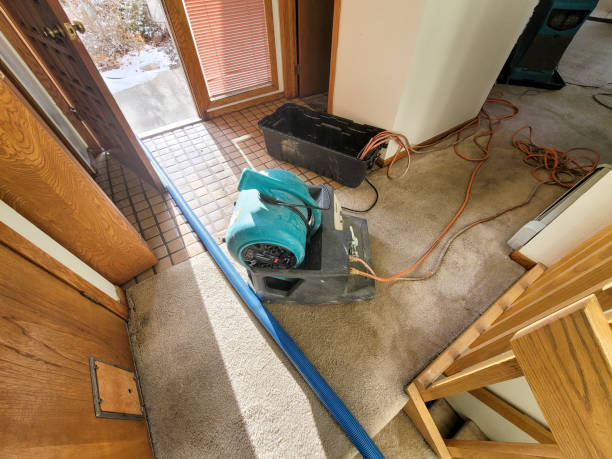 Best Ceiling water damage repair  in Somers, MT