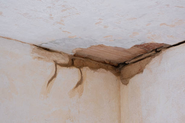 Professional Water damage restoration in Somers, MT
