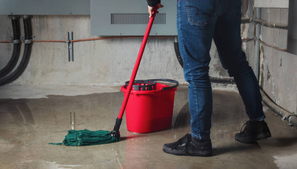 Best Water damage contractors near me  in Somers, MT
