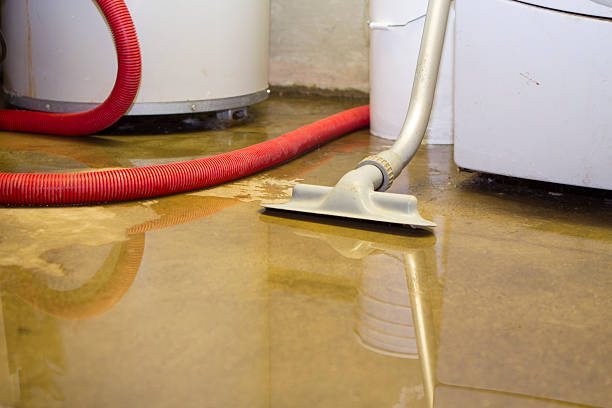 Best Water damage restoration near me  in Somers, MT