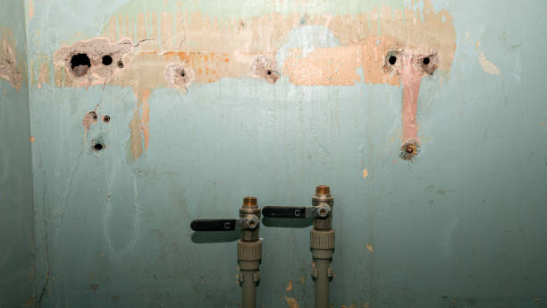  Somers, MT Water damage restoration Pros