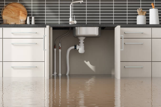 Best Mold removal after water damage  in Somers, MT