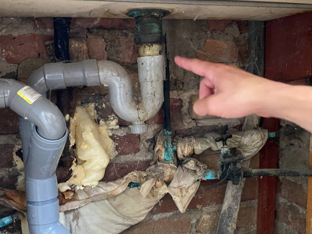 Best Water damage cleanup near me  in Somers, MT