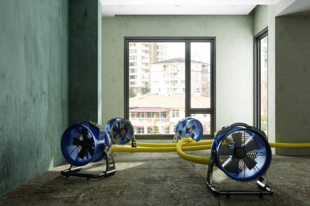 Best Residential water damage restoration  in Somers, MT