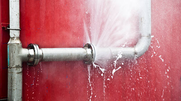 Best Carpet water damage restoration  in Somers, MT